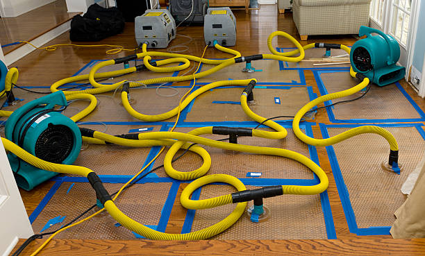 Professional Water Extraction technician working in Graham, TX